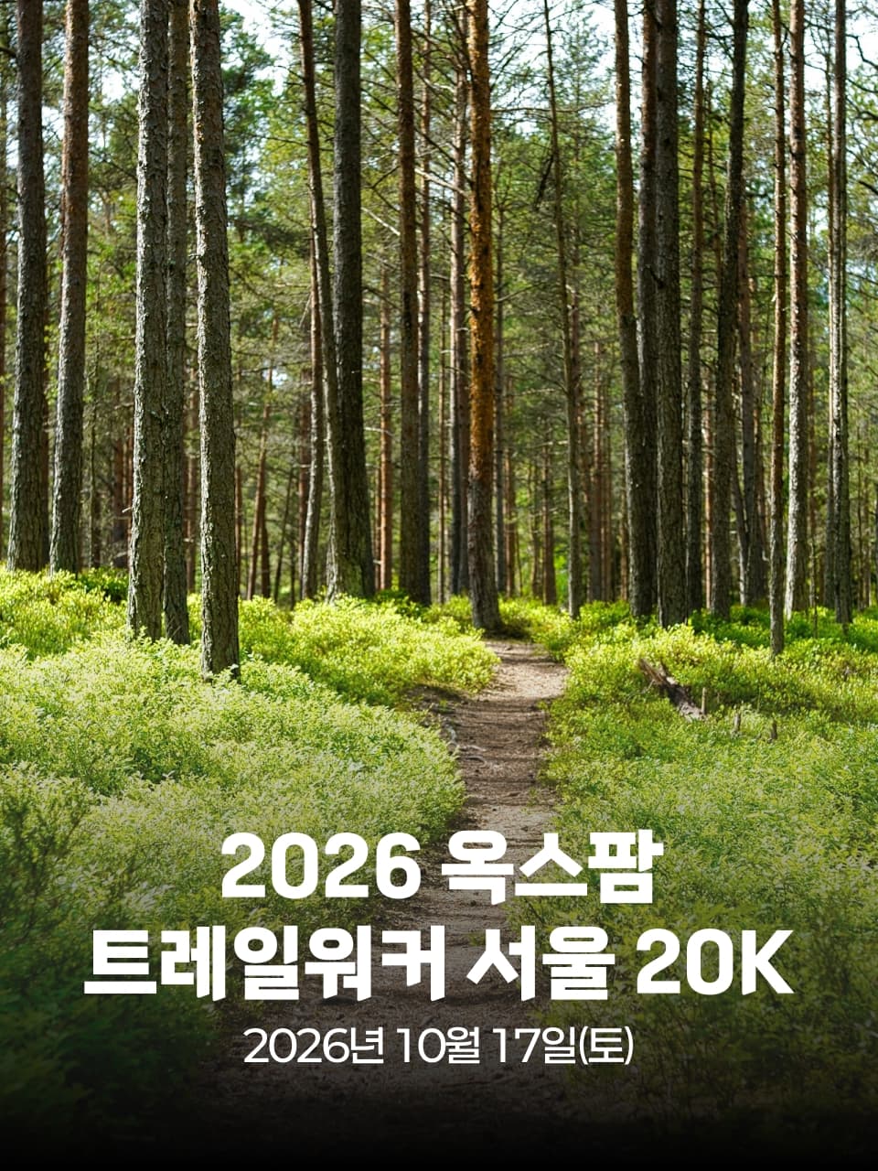 2026 옥스팜 트레일워커 서울 20K